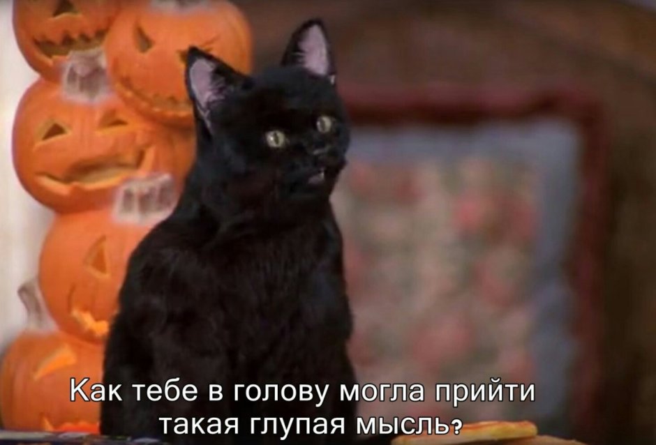 Салем Сабрина мемы