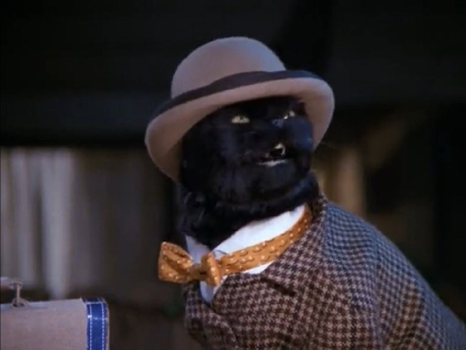 Кот из Сабрины