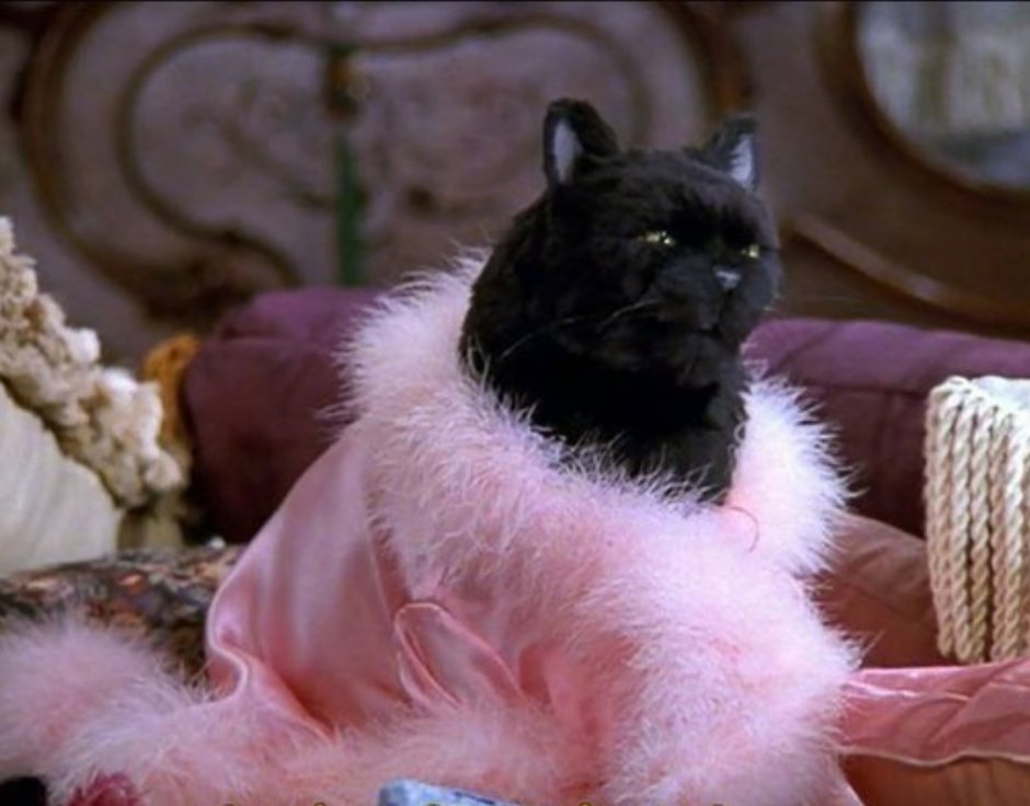 Сабрина маленькая ведьма Салем