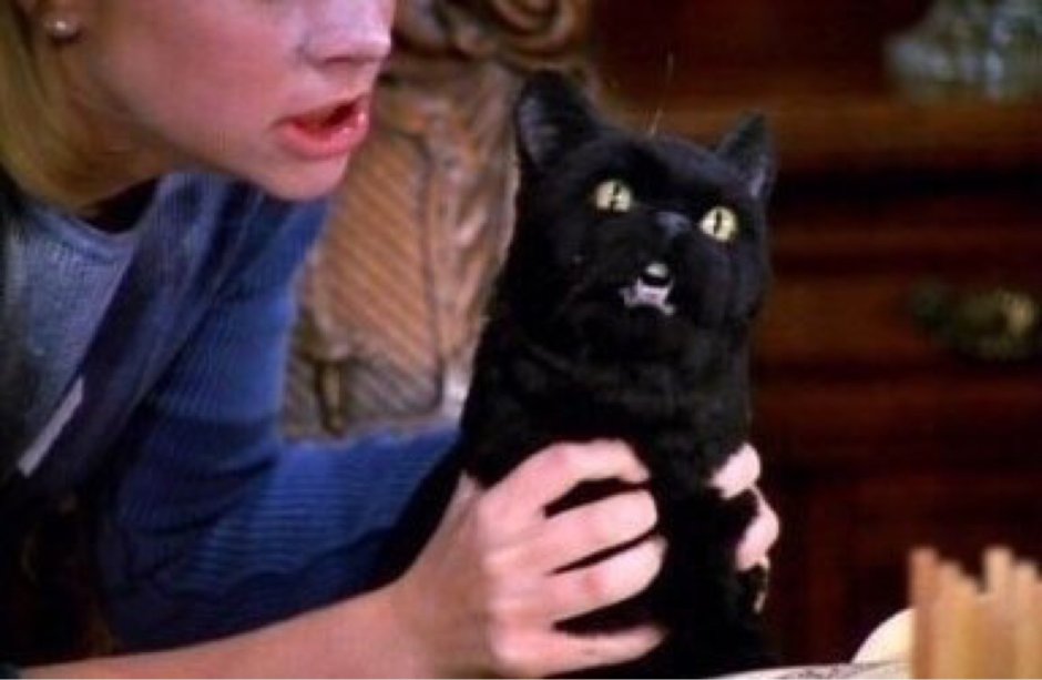 Сабрина маленькая ведьма кот