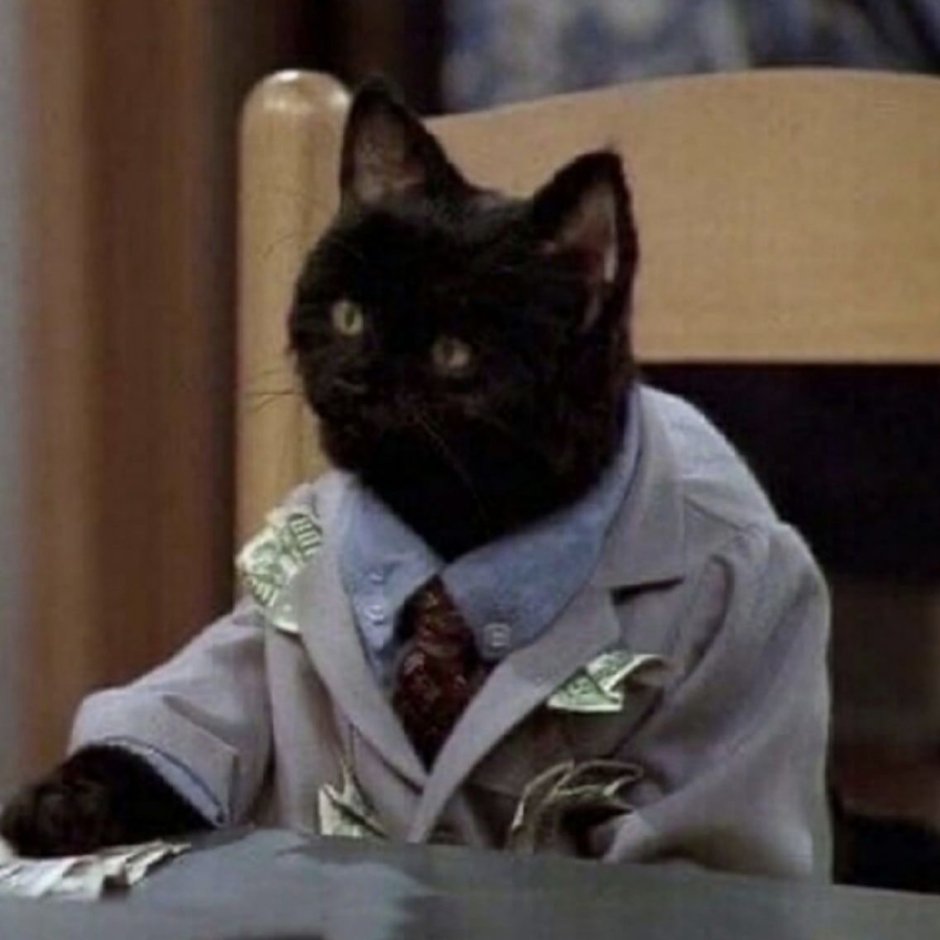 Сабрина маленькая ведьма кот Салем