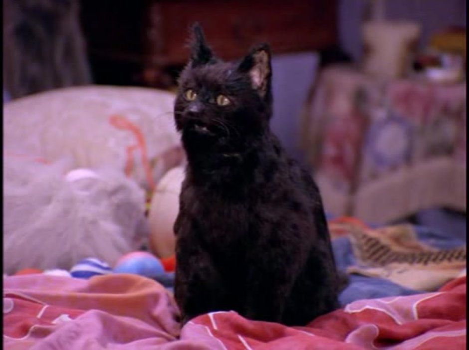 Сэлем Сабрина маленькая ведьма