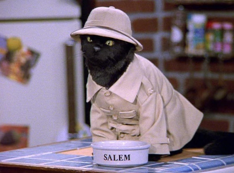 Сабрина маленькая ведьма Салем