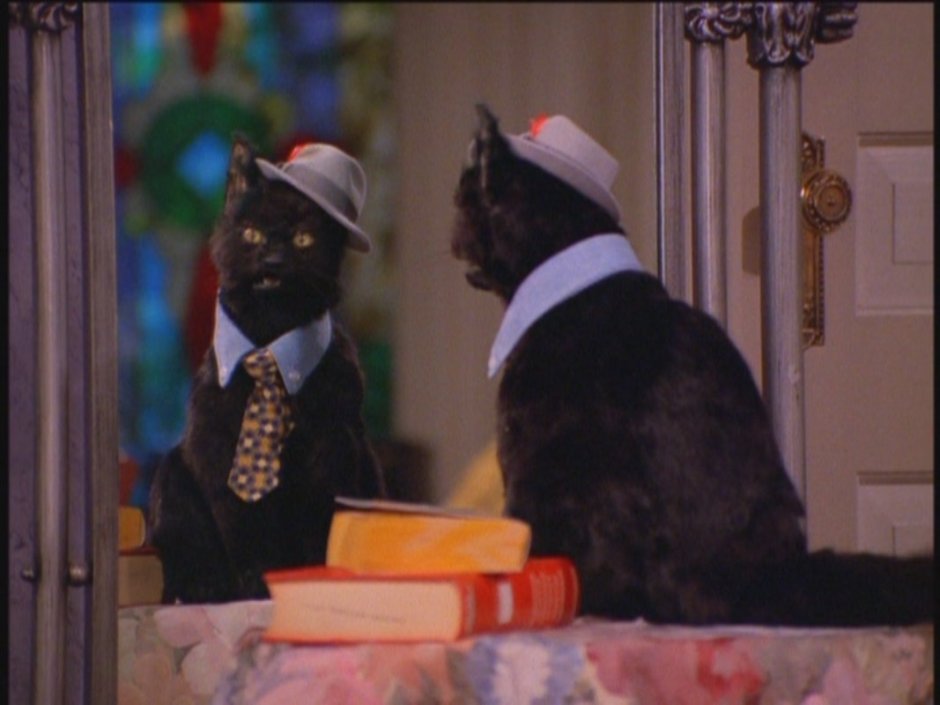 Сабрина маленькая ведьма Салем