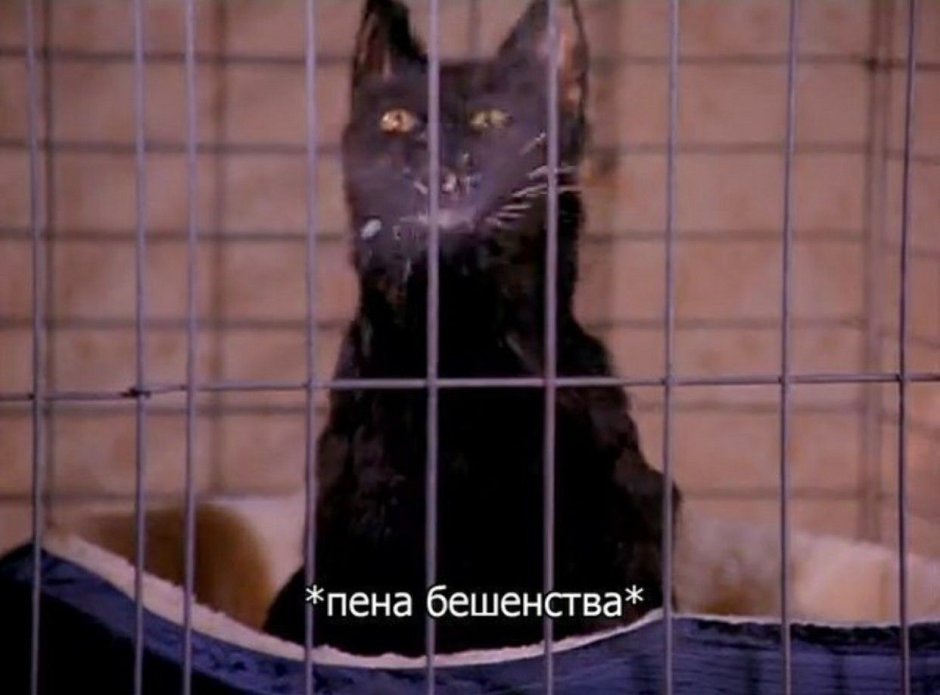 Сабрина маленькая ведьма Салем утешь меня