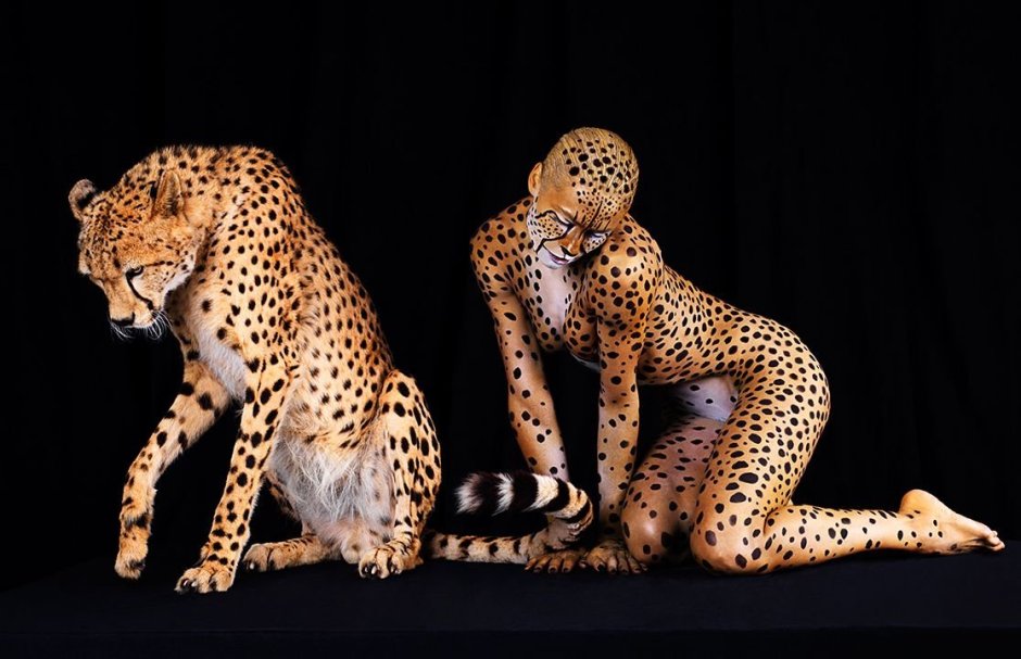 Гибриды диких кошек