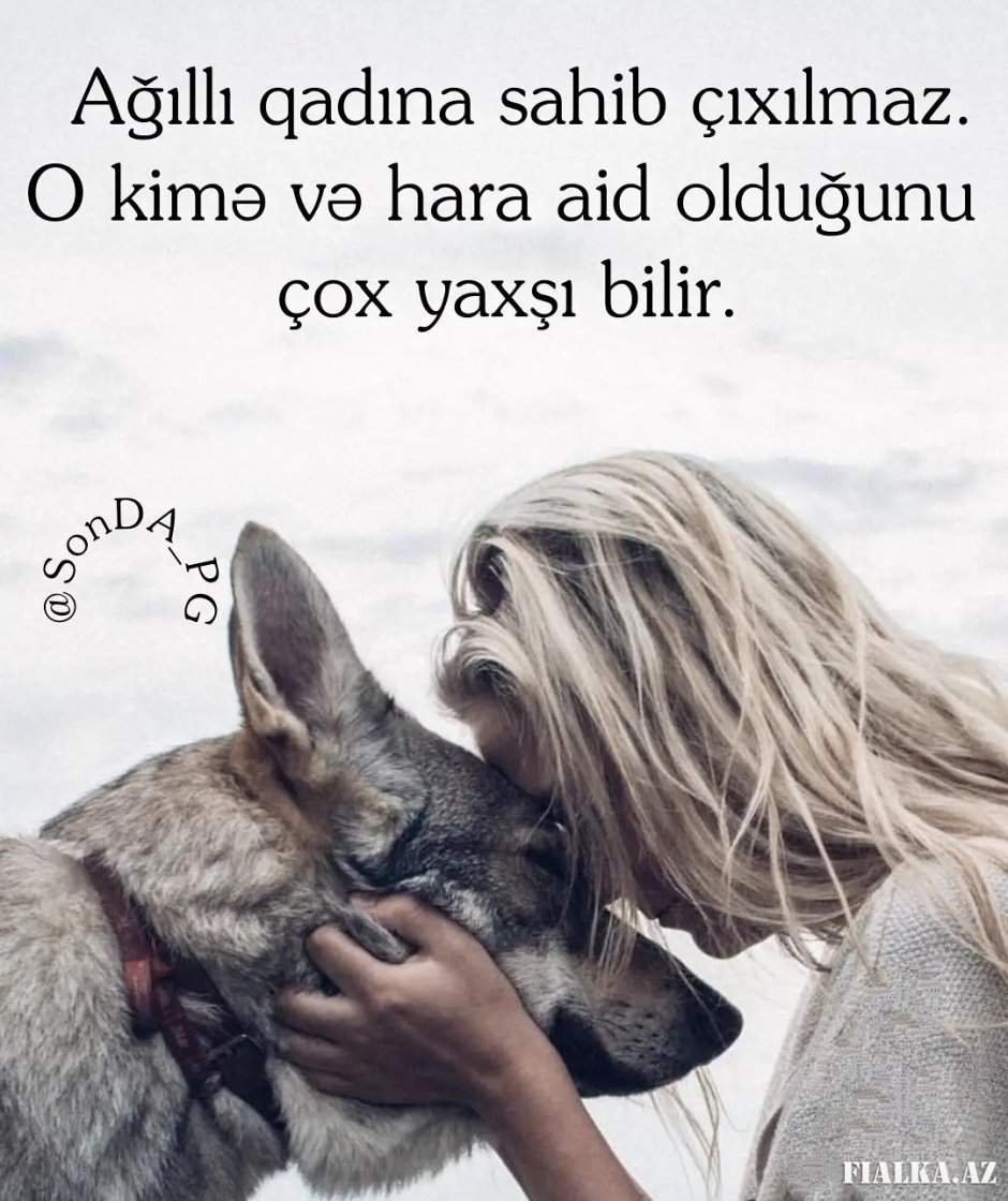 Лошади зимой