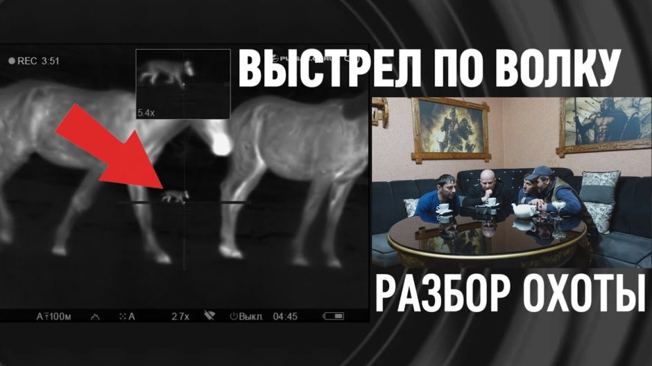 Волчья лошадь