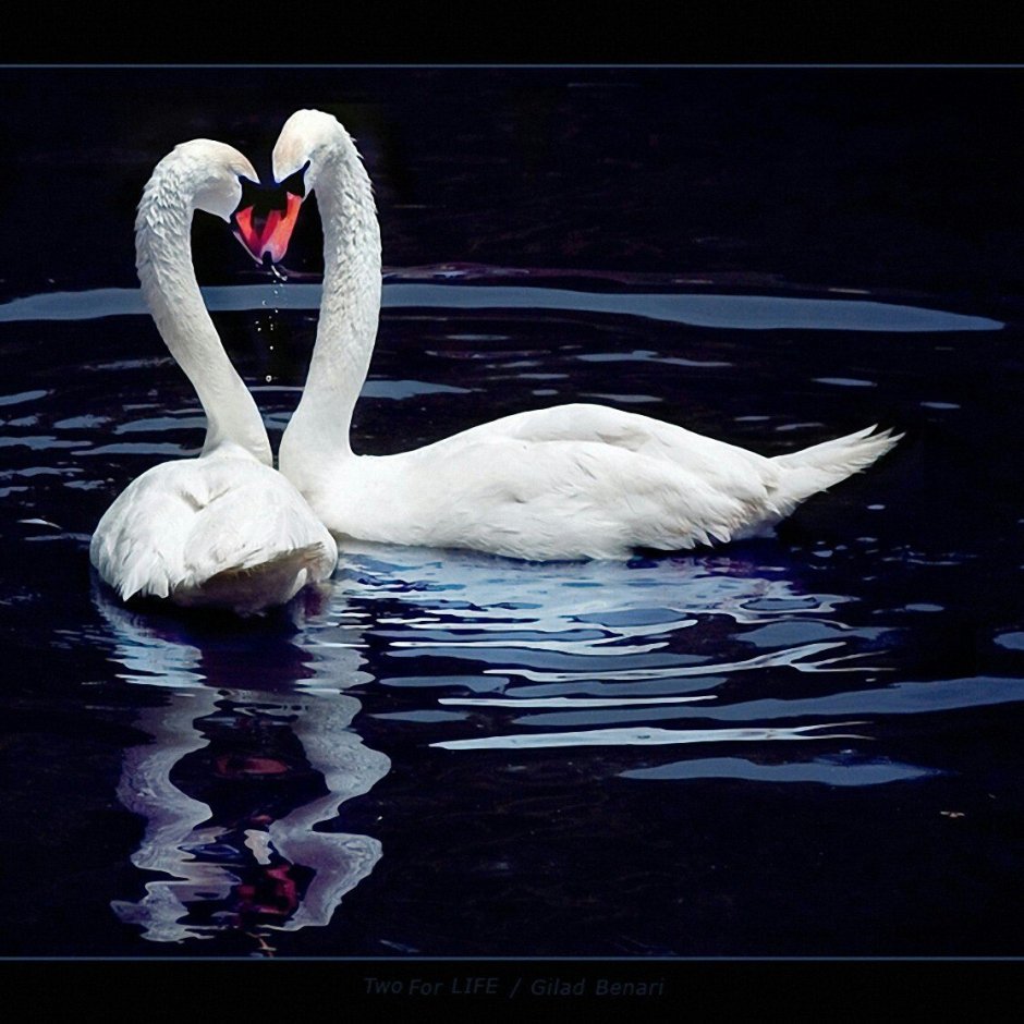 Скоро мы будем вместе