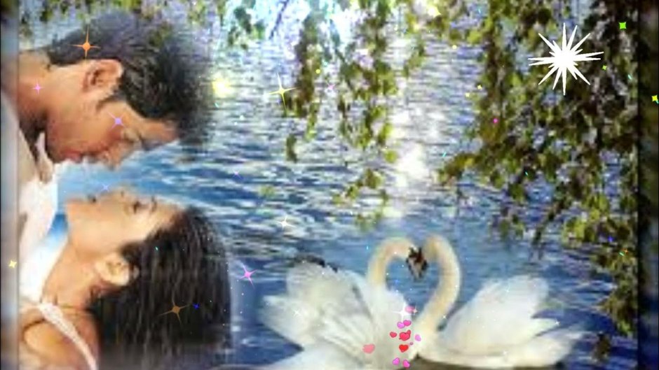 Любовь и лебеди