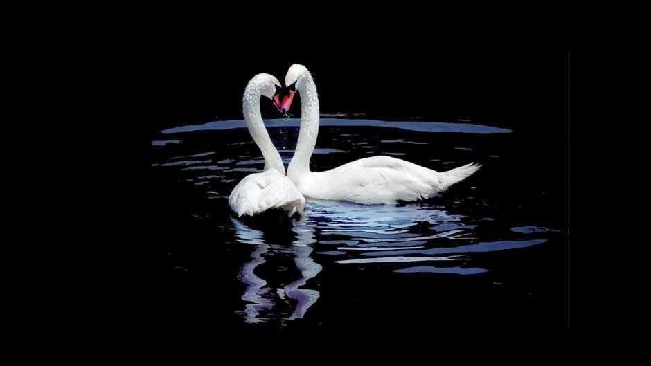 Пара на озере