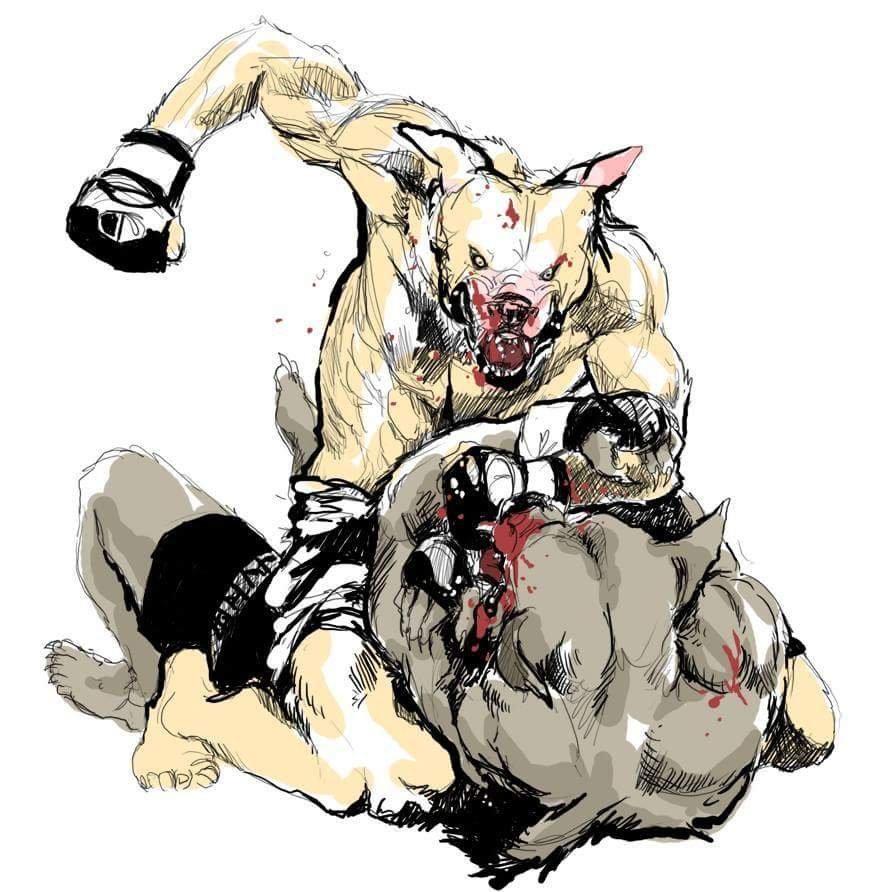 Питбуль в перчатках ММА