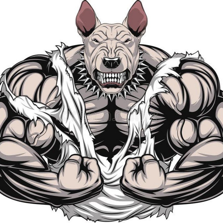 Бодибилдинг звери