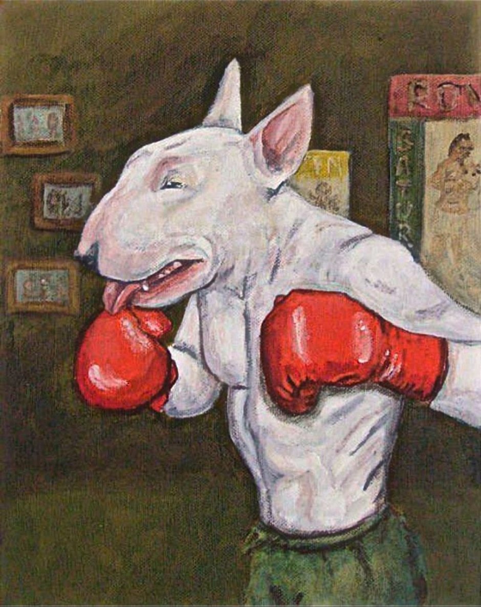 Бультерьер Спартак