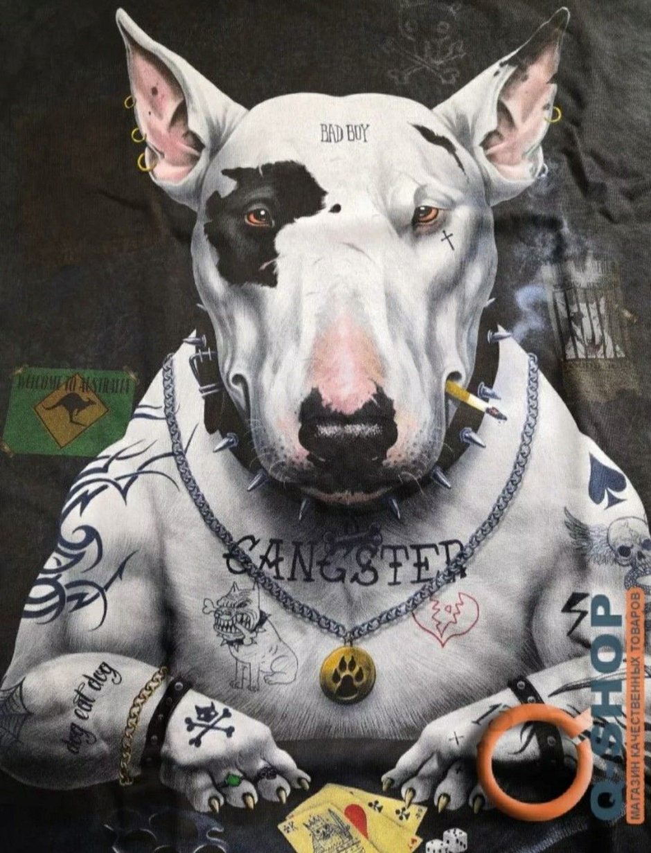 Бультерьер рисунок