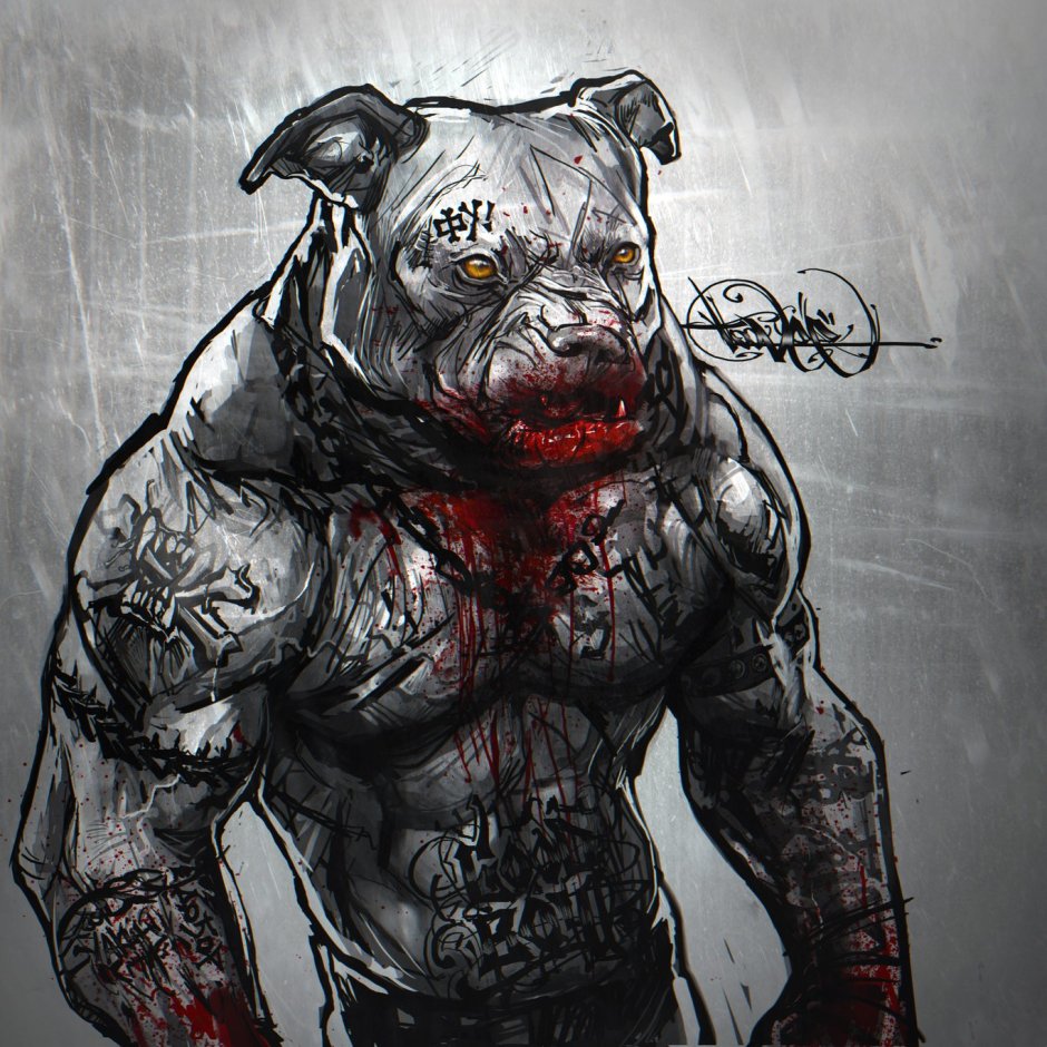 Арты с питбулями