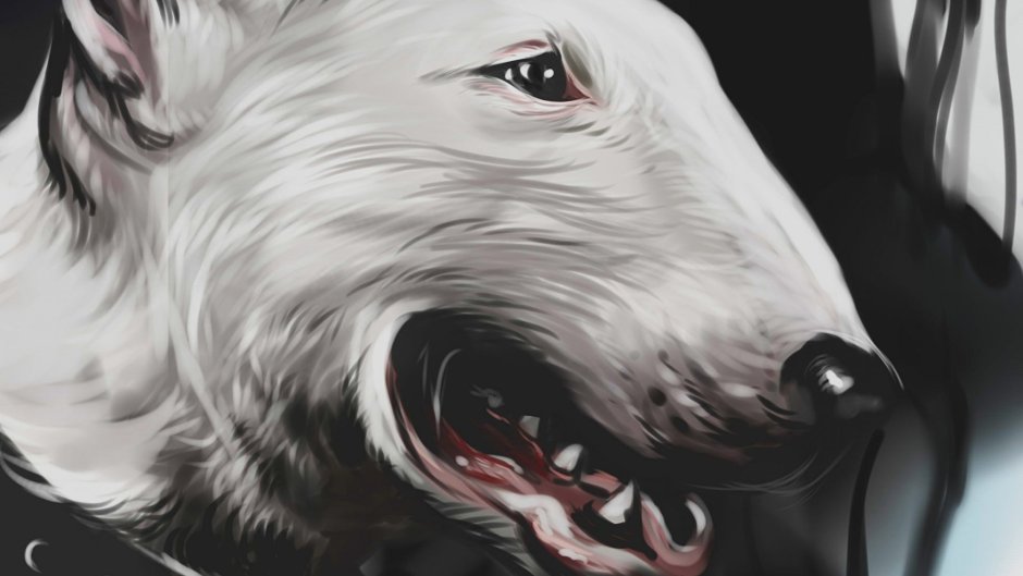 Бультерьер арт