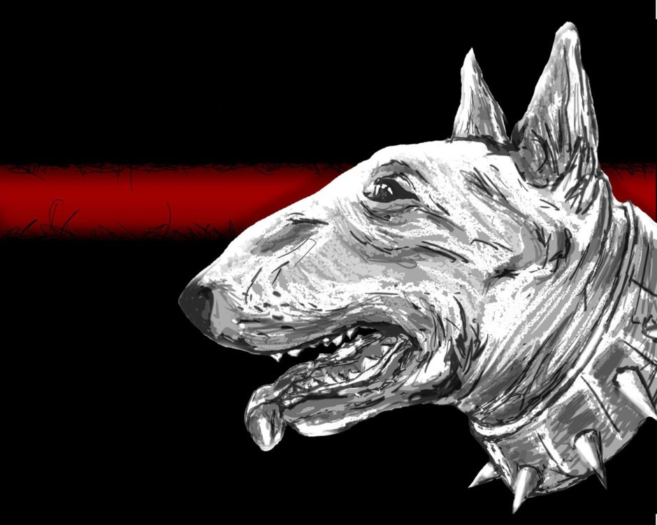 Бультерьер обои