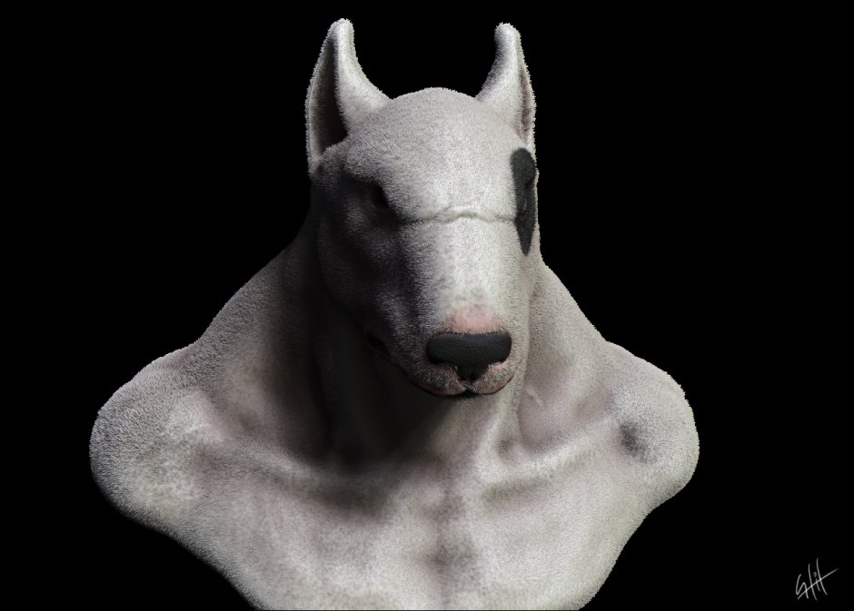 Zbrush бультерьер