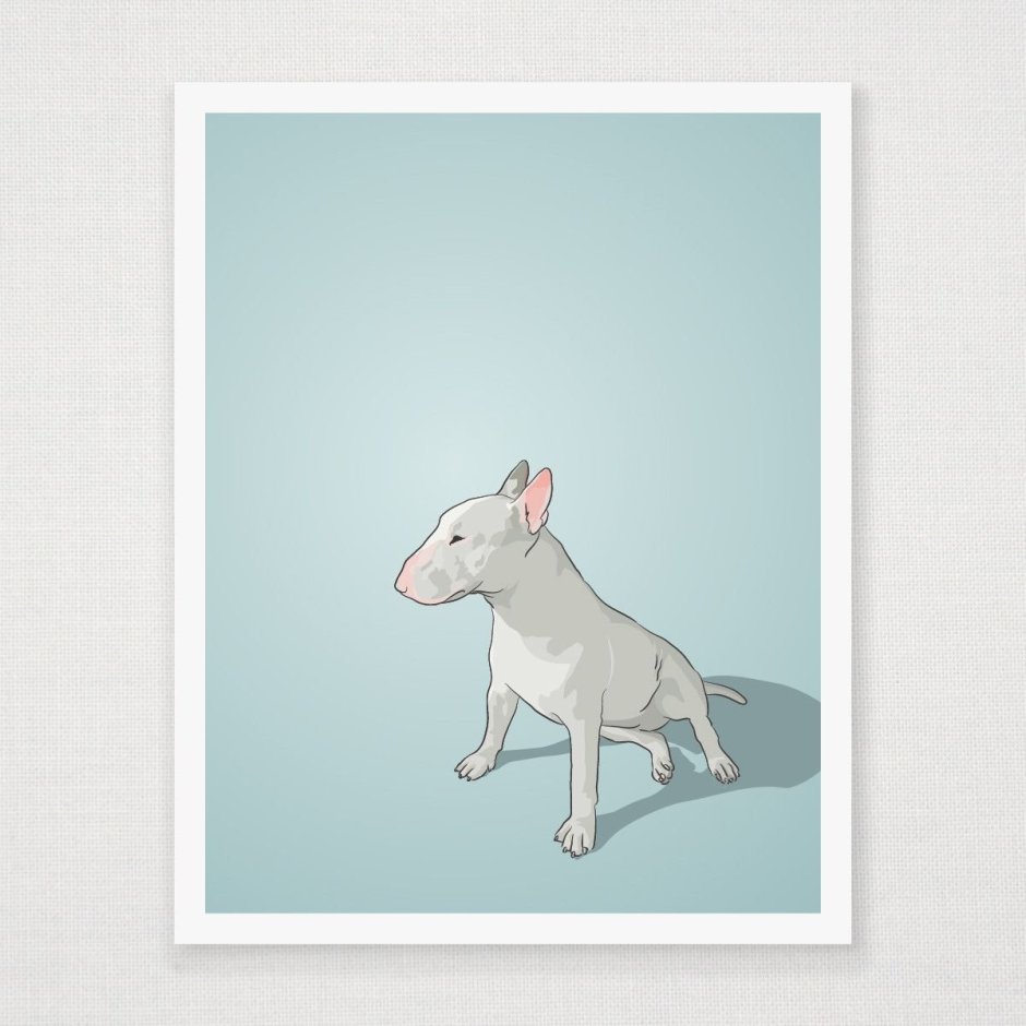 Анатомия собаки булли