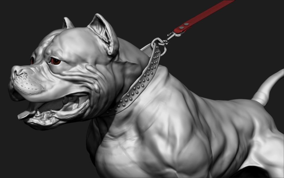 Бультерьер злой Бойцовский чёрный