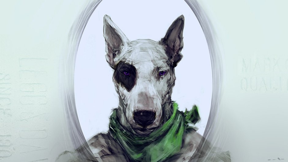 Фурри бультерьер