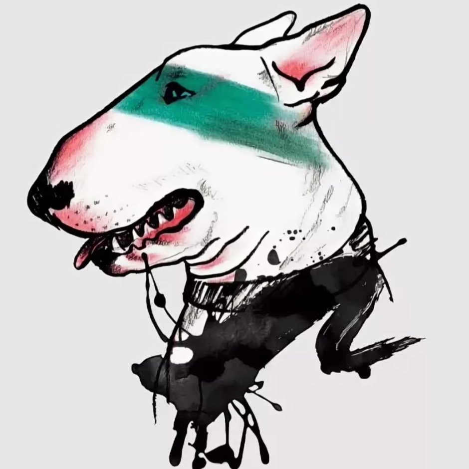 Бультерьер чёрныйфото