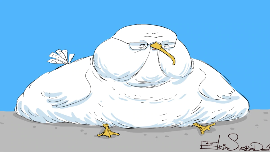 Жирные Чайки