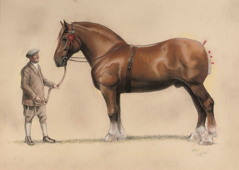 Лошади 1870
