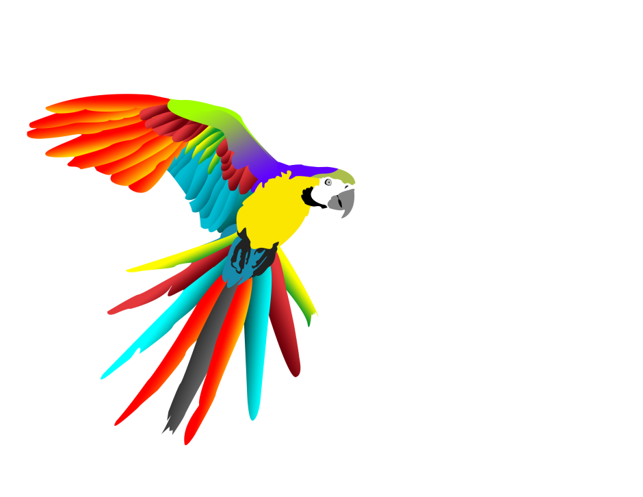 The Parrots are Flying into their