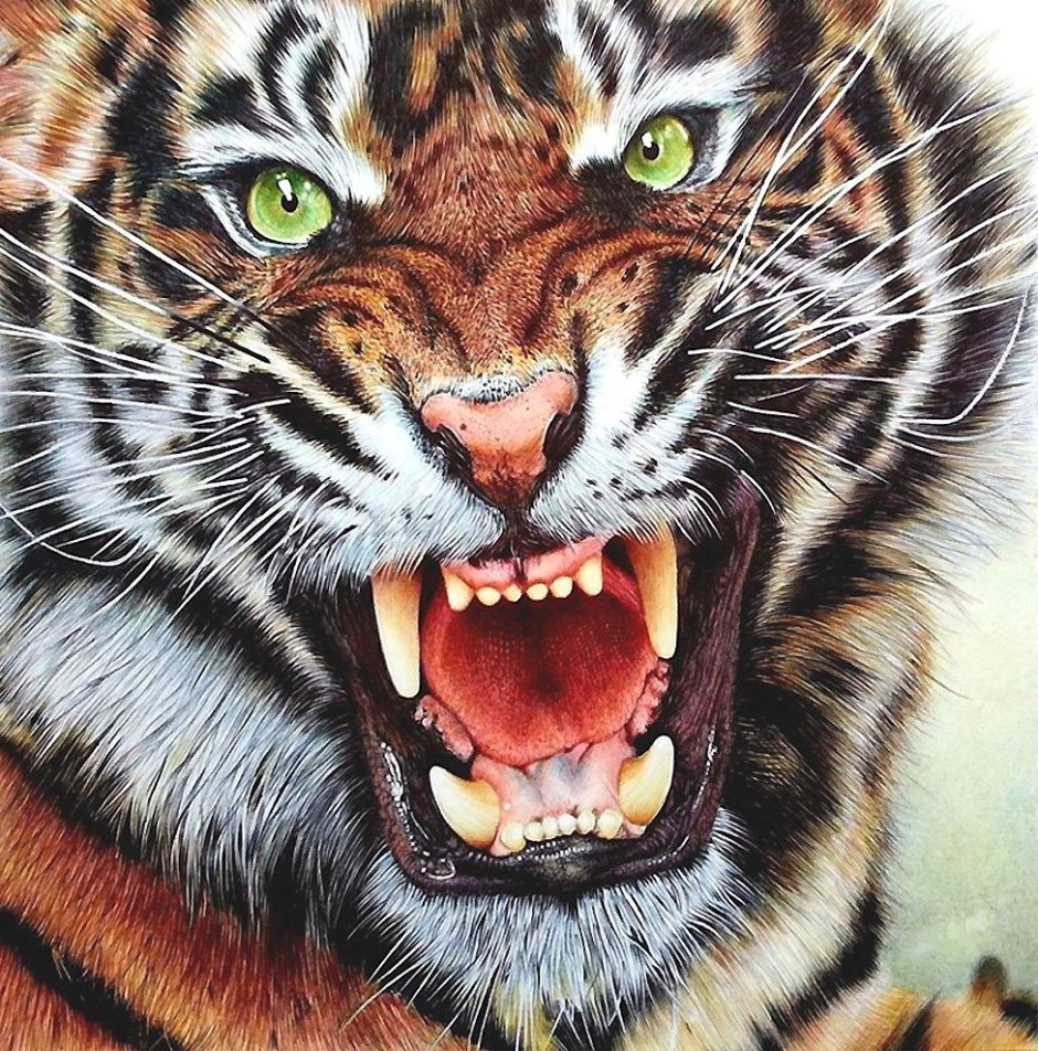 Художник Fabiano Millani