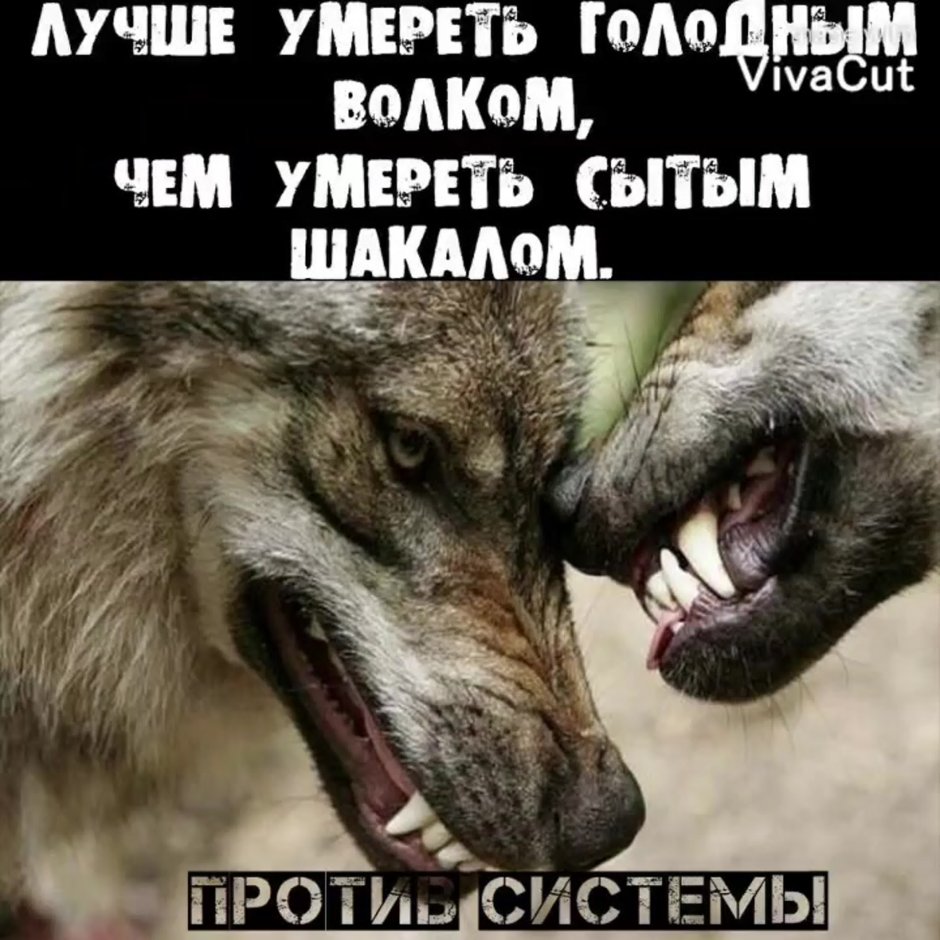 Львенок арт