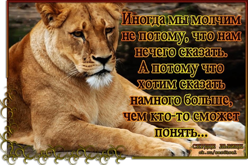 Цитаты на фоне Льва