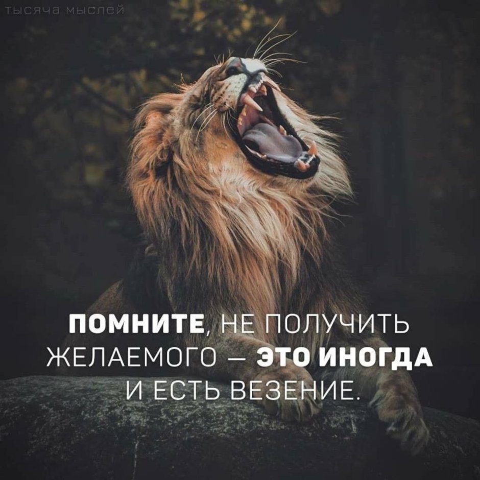 Человек Лев