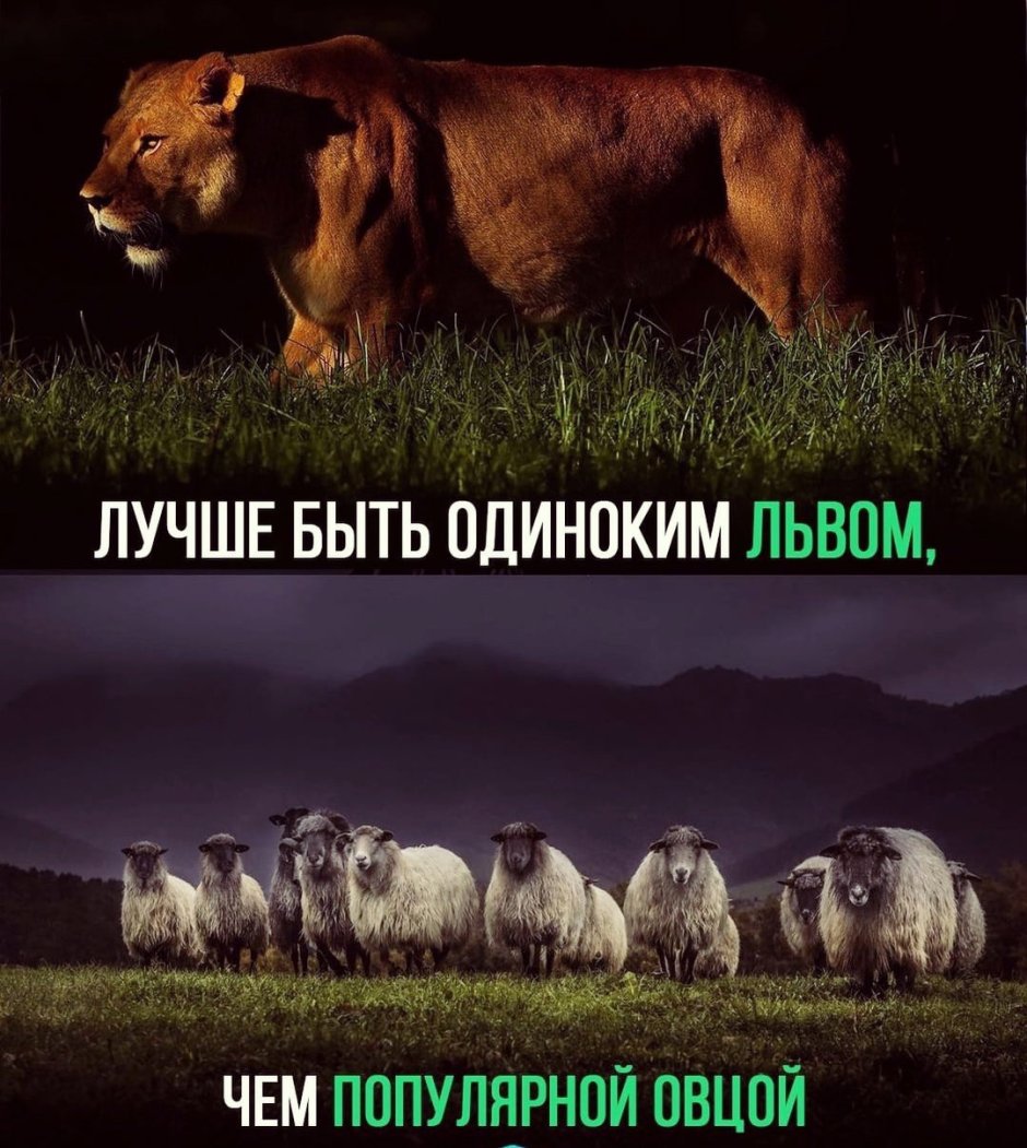 Цитаты про Львов
