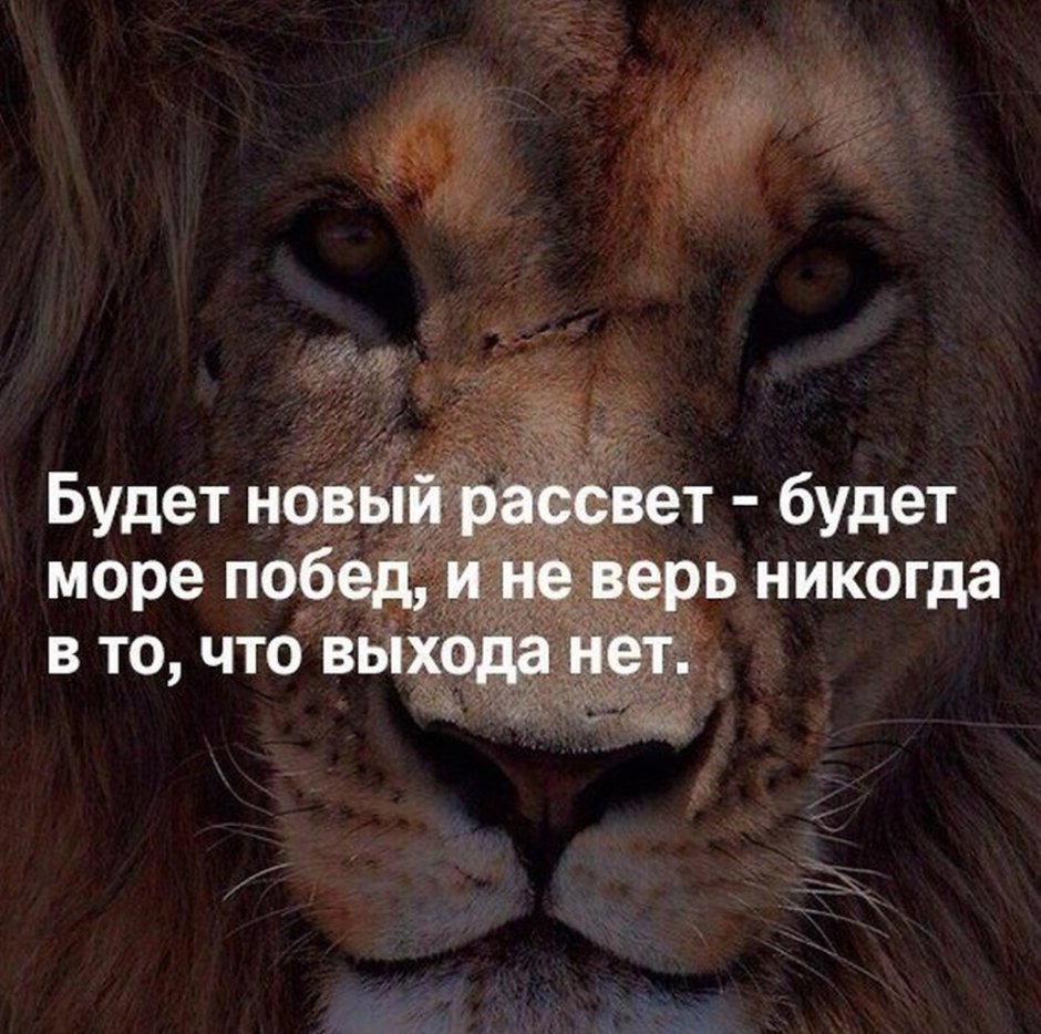 Ибрагим Байсагуров