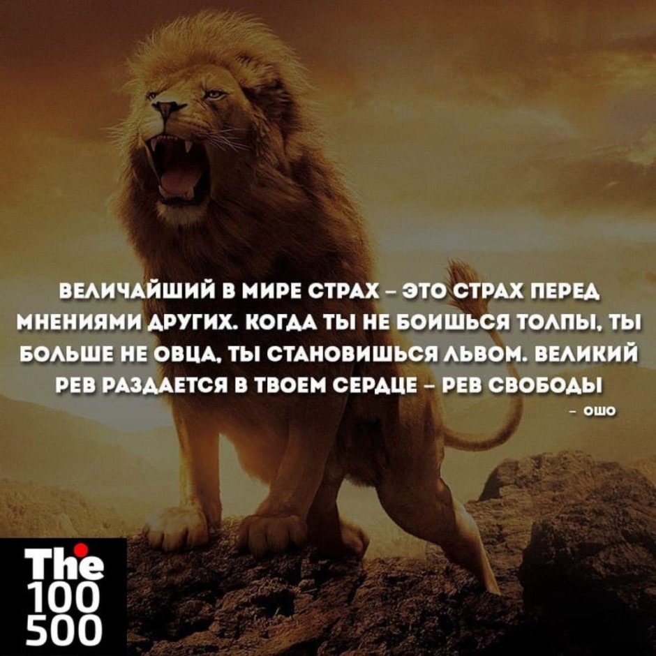 Лев цитаты