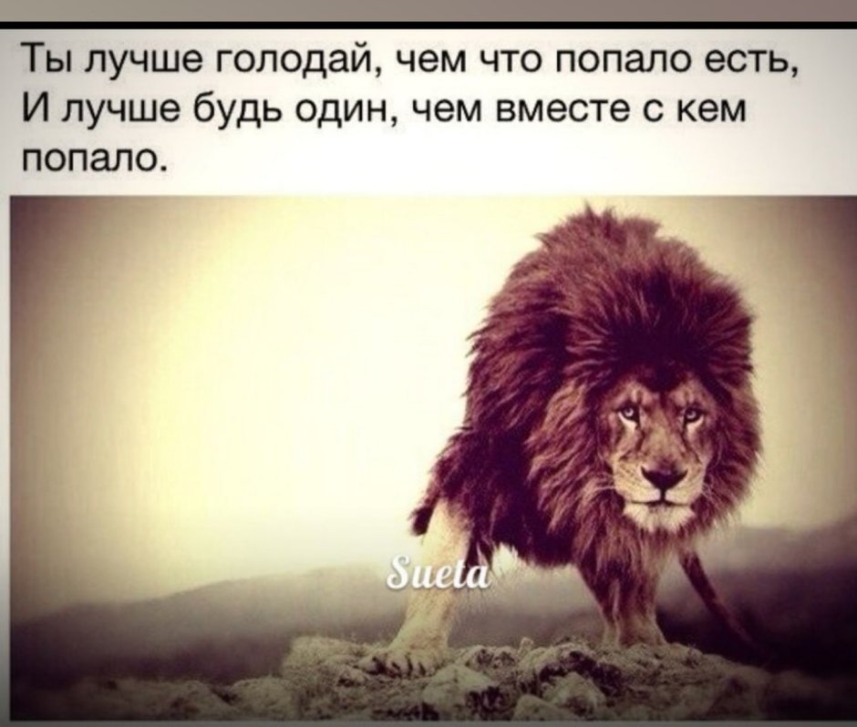 Лев и львица с надписями