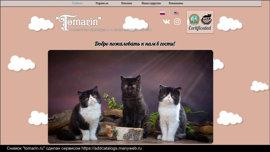 Fluffy Kitten Rod Campbell