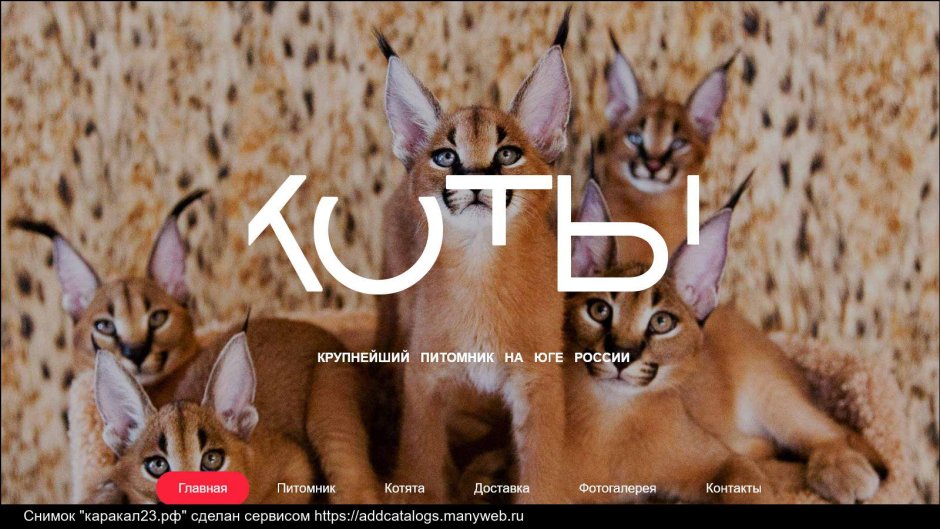 Мексиканский глазоух