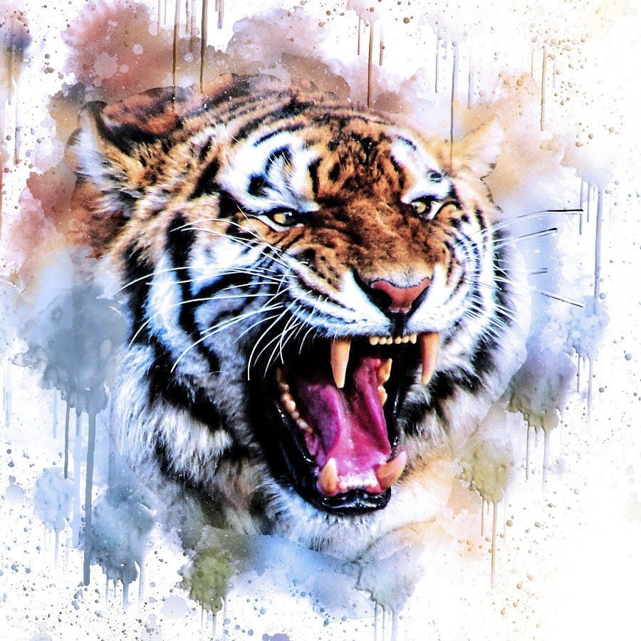 Реалистичные Стикеры тигра для телеграм