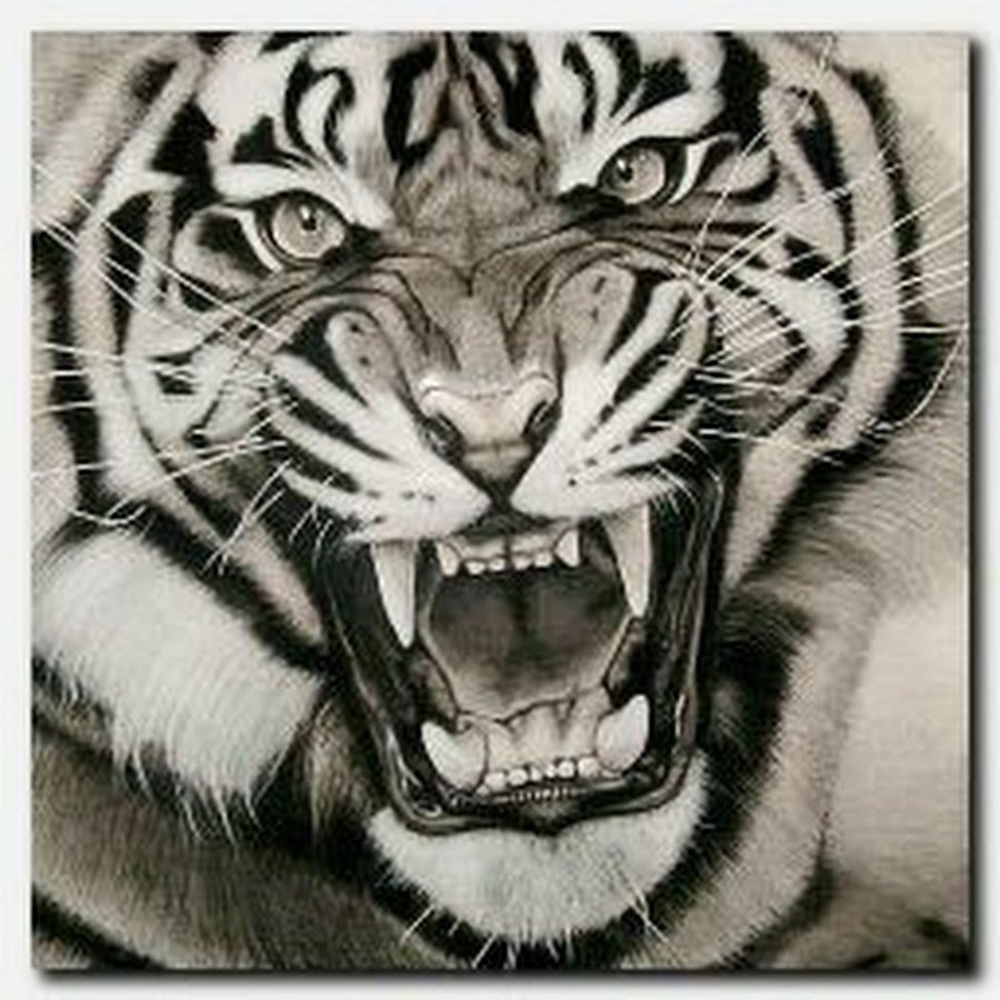 Злой оскал тигра