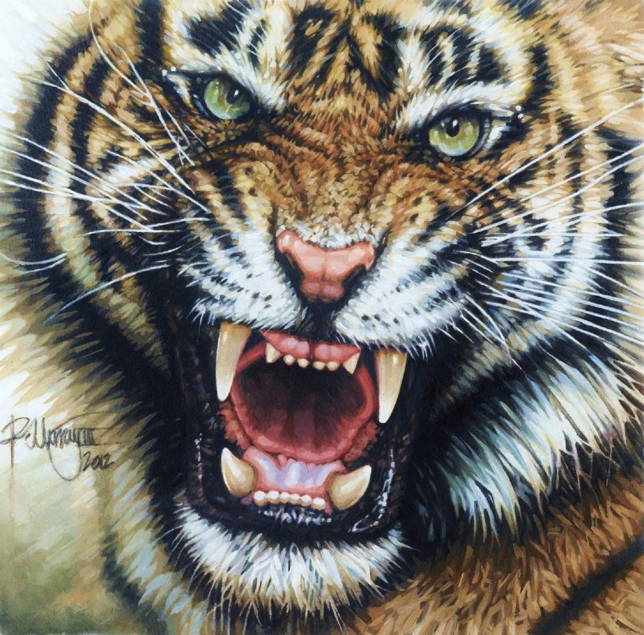 Оскал тигра реализм