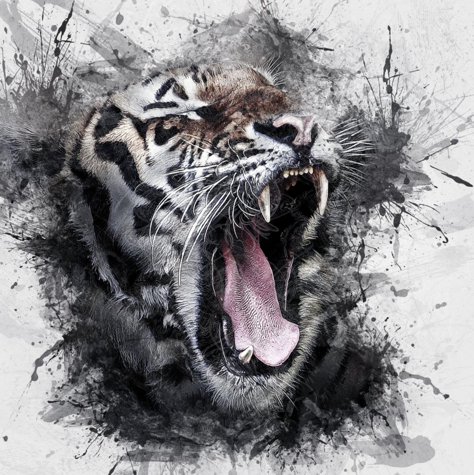 Оскал тигра рисунок
