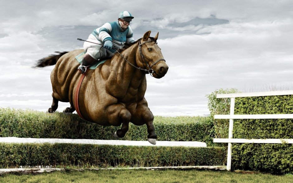 Толстый человек на лошади