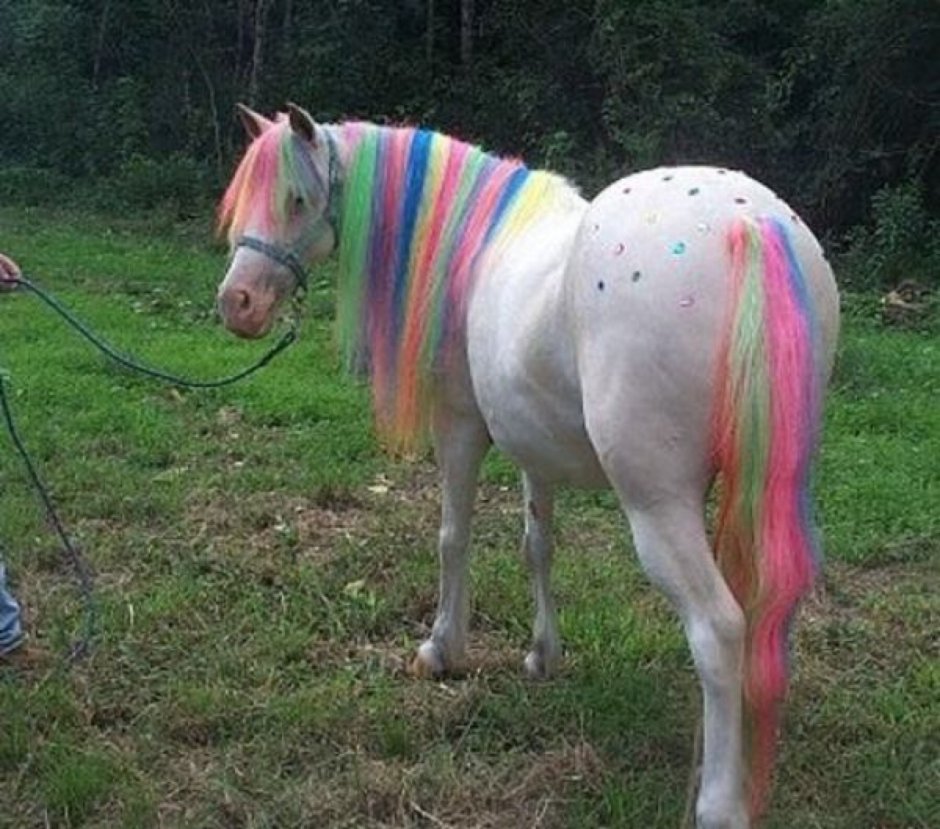 Лошадь с разноцветной гривой