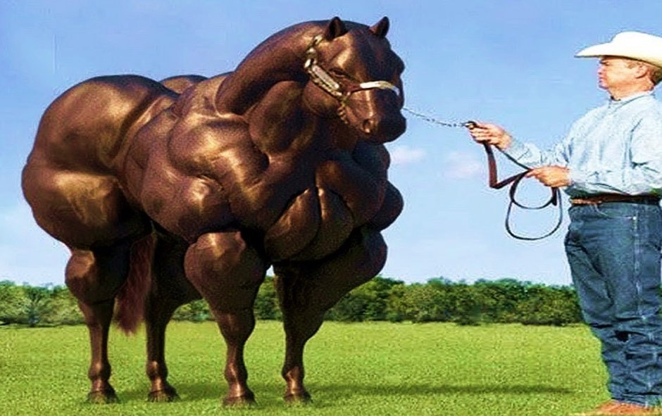 Лошадь с большими копытами