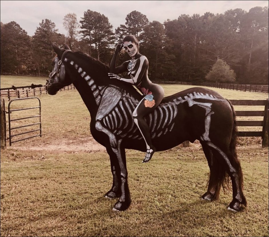 Лошадь прикол