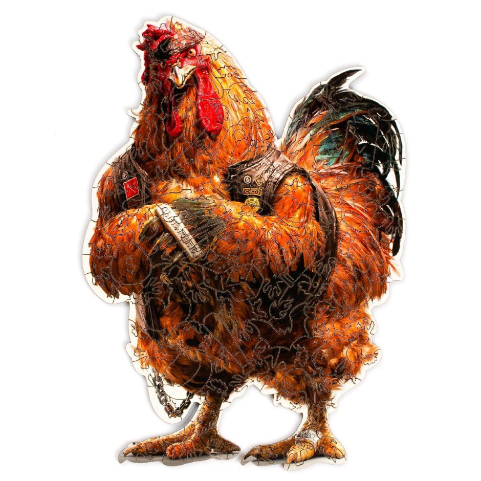 Бентамки куры Сибрайт