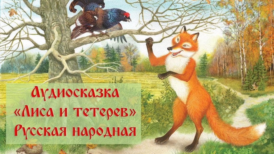 Кот охотится на птиц